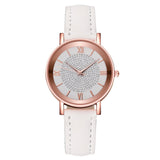 Luxury Watches Quartz  Watch Stainless Steel Dial Casual Bracele Watch