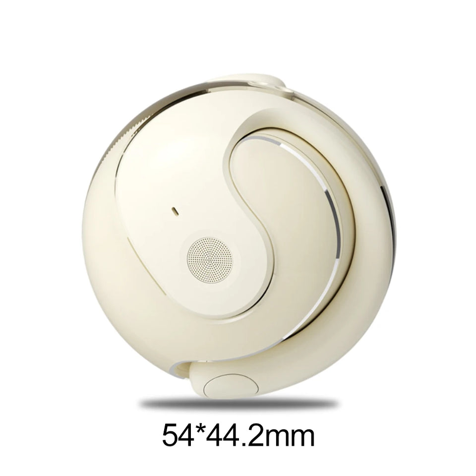 outdoor sport dustproof  Noise reduction wireless bluetooth 5.3 comfort earhook earbuds earphones